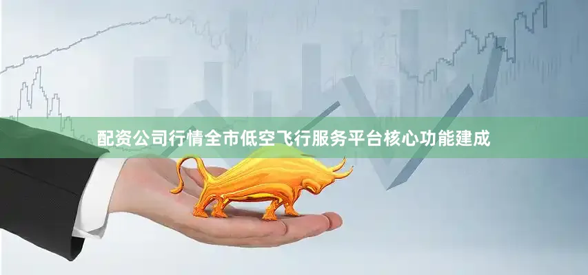 配资公司行情全市低空飞行服务平台核心功能建成
