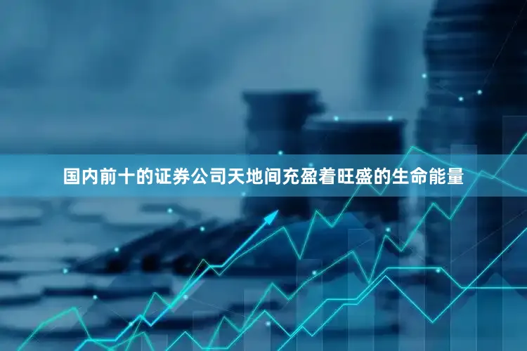 国内前十的证券公司天地间充盈着旺盛的生命能量