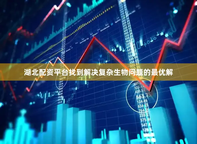 湖北配资平台找到解决复杂生物问题的最优解