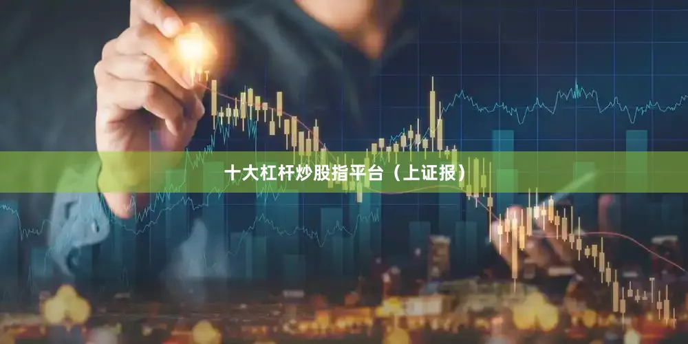 十大杠杆炒股指平台（上证报）